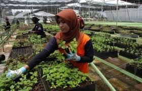 44 Produk Pertanian Organik Dipamerkan di Bogor